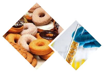 香港正牌资料大全