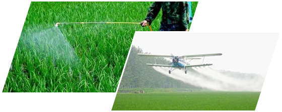 香港正牌资料大全