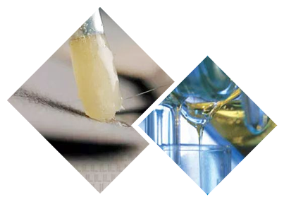 香港正牌资料大全